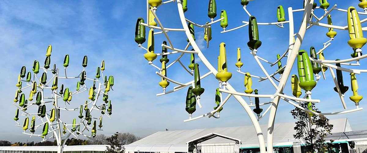 The wind tree