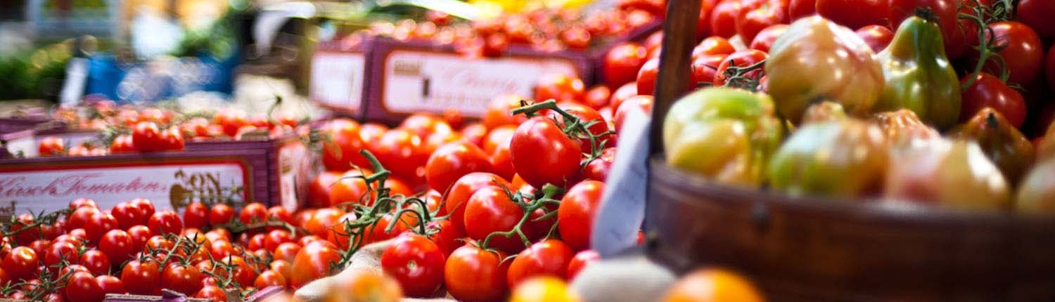 Too good to go is the app for reducing food waste