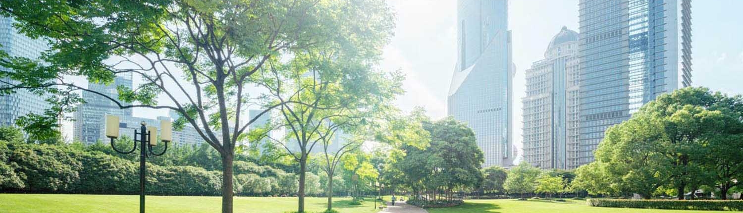 Aguaduna-a-city-for-the-future Aguaduna is the city of the green, smart and ethical future