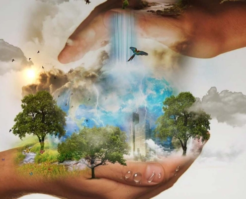Art and sustainability