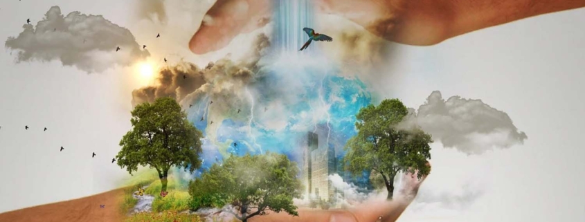 Art and sustainability