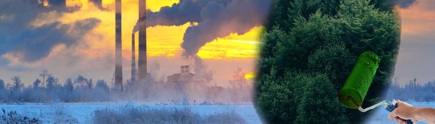 Environmentalism in Times of Greenwashing